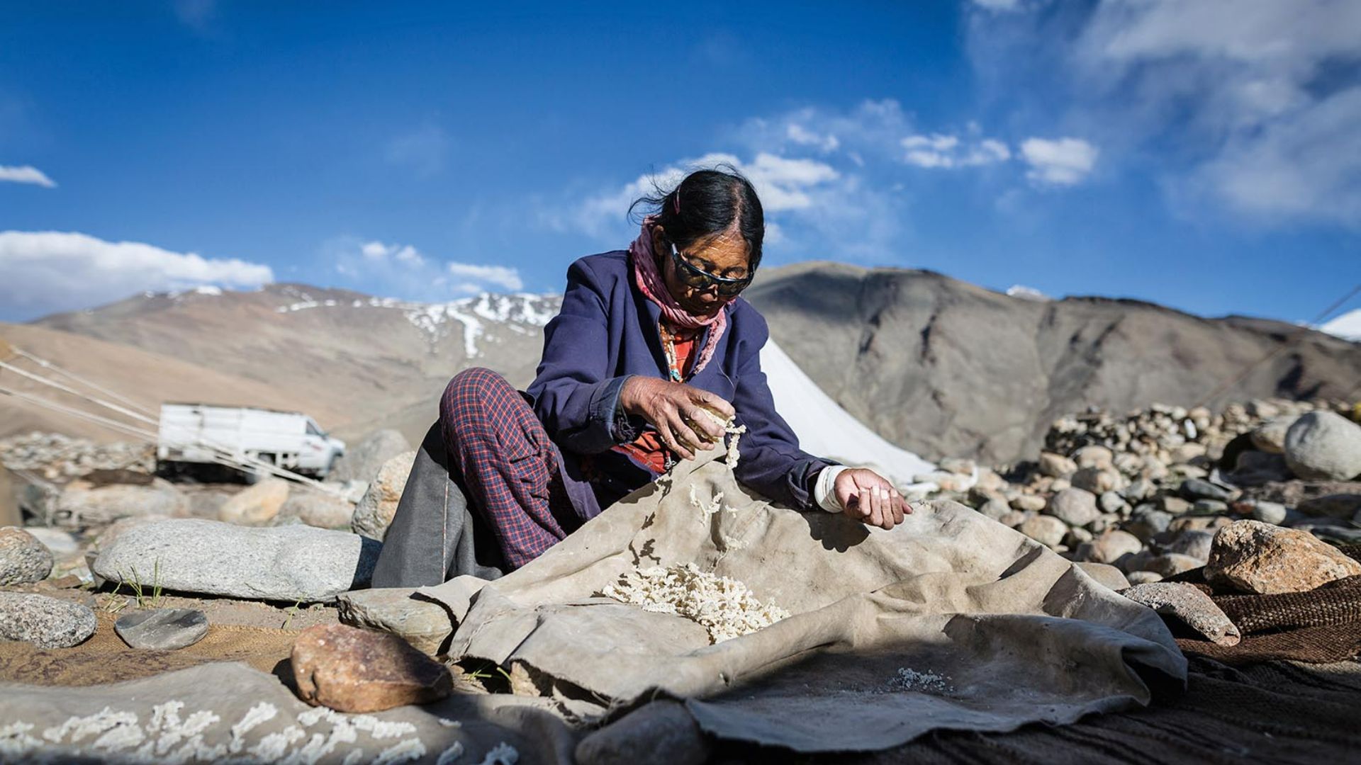 Changpa woman and dried yak cheese 1