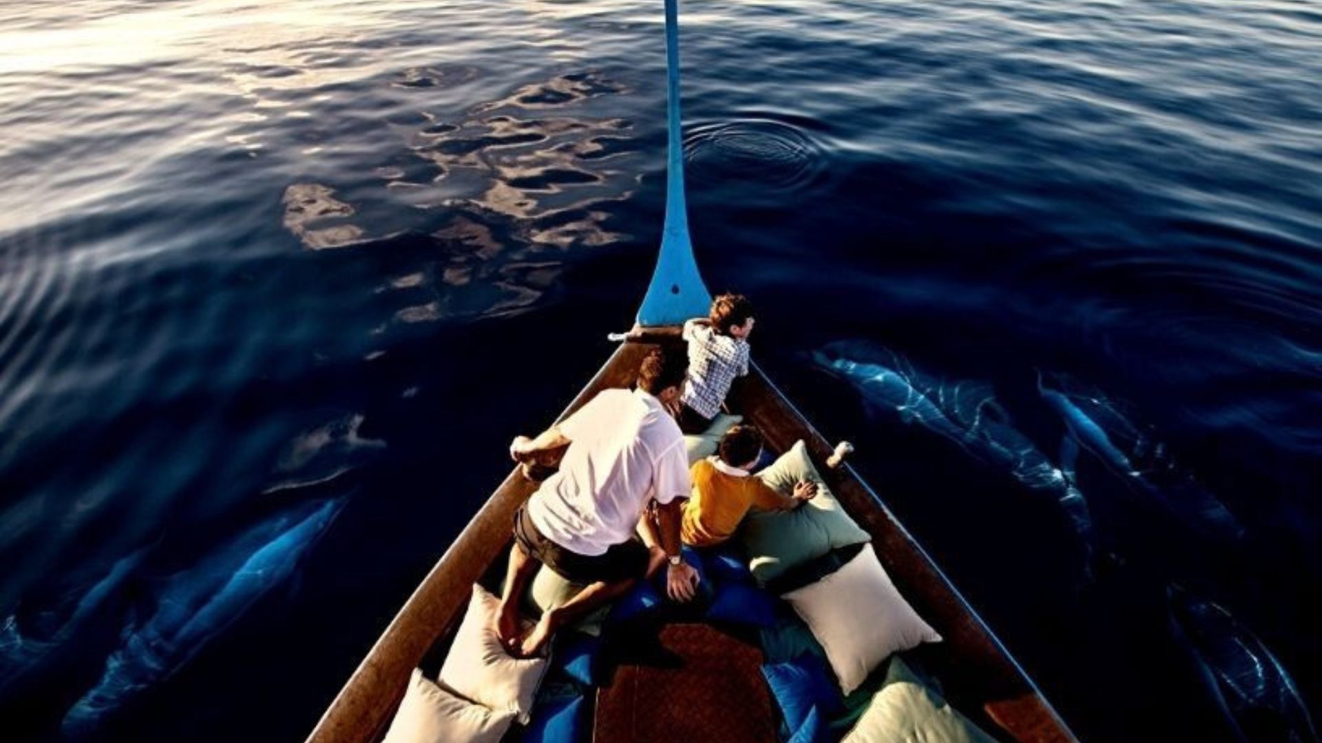 dolphin cruise