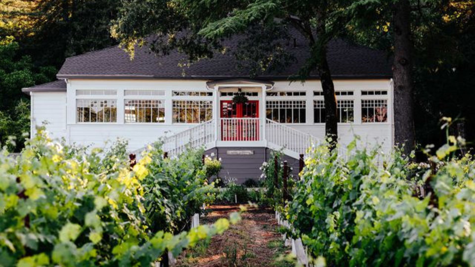 10 Best Napa Wineries For A Delicious Tasting And Beautiful Views