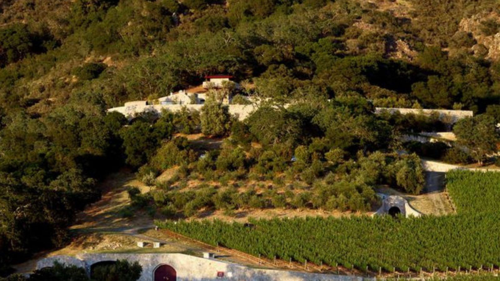 10 Best Napa Wineries For A Delicious Tasting And Beautiful Views