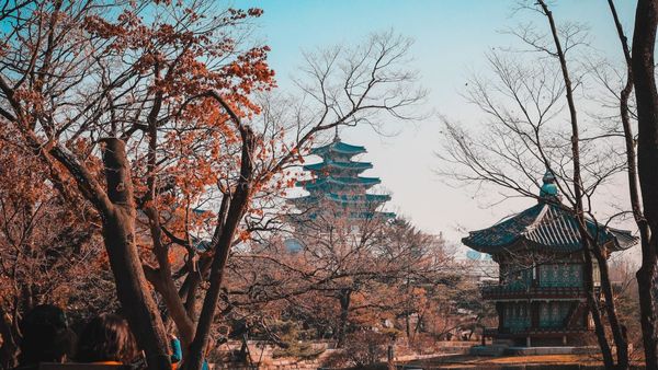 South Korea Makes Travel Easier, Lifts COVID-19 Test Mandate For Visitors On Arrival From October 1