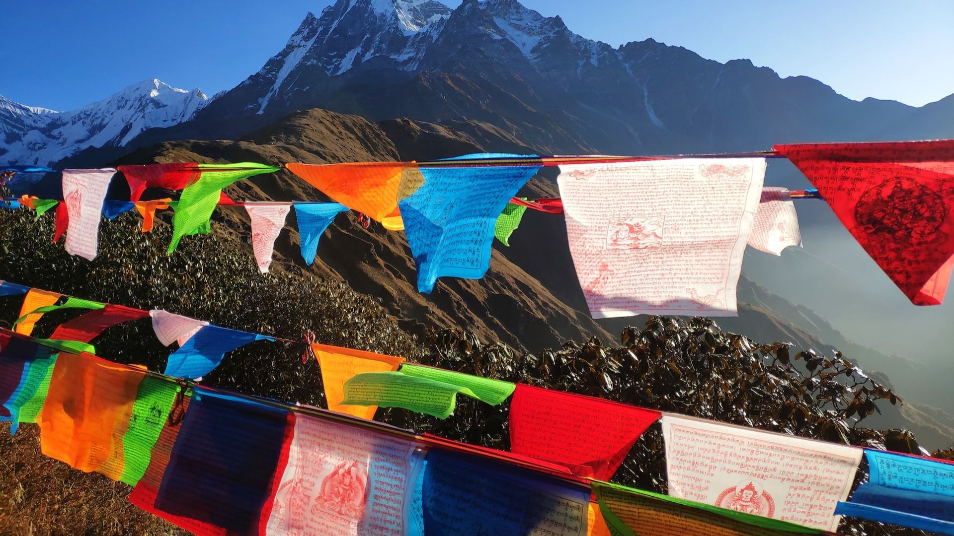 Himalayas adventure