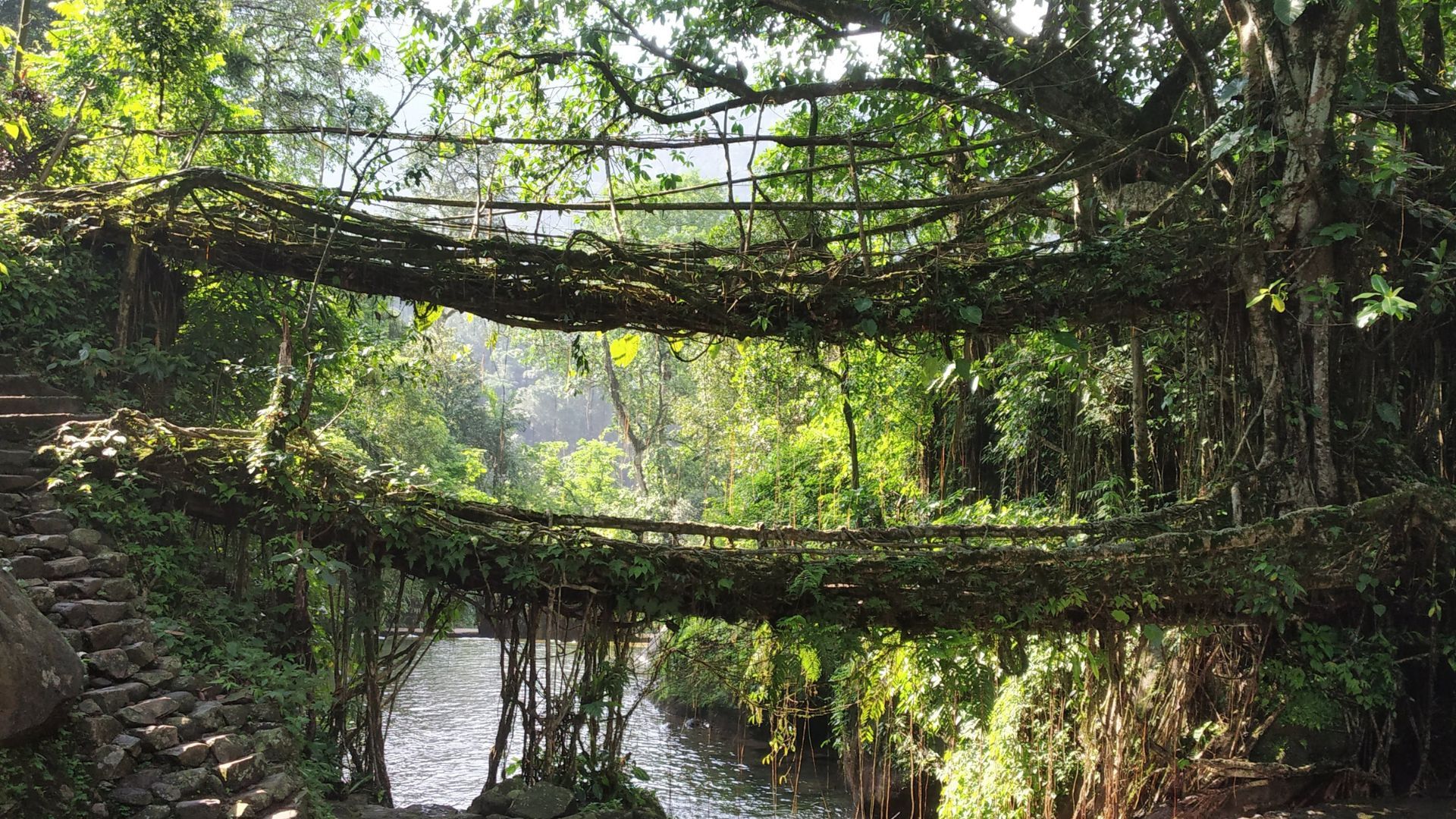 Meghalaya