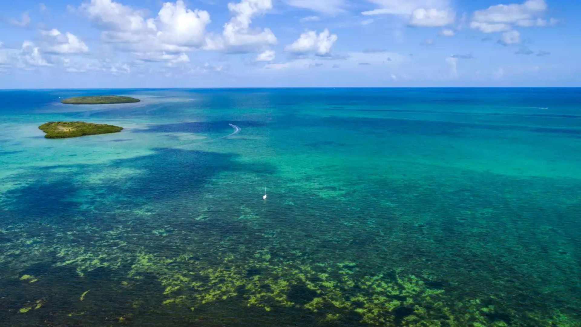 Florida