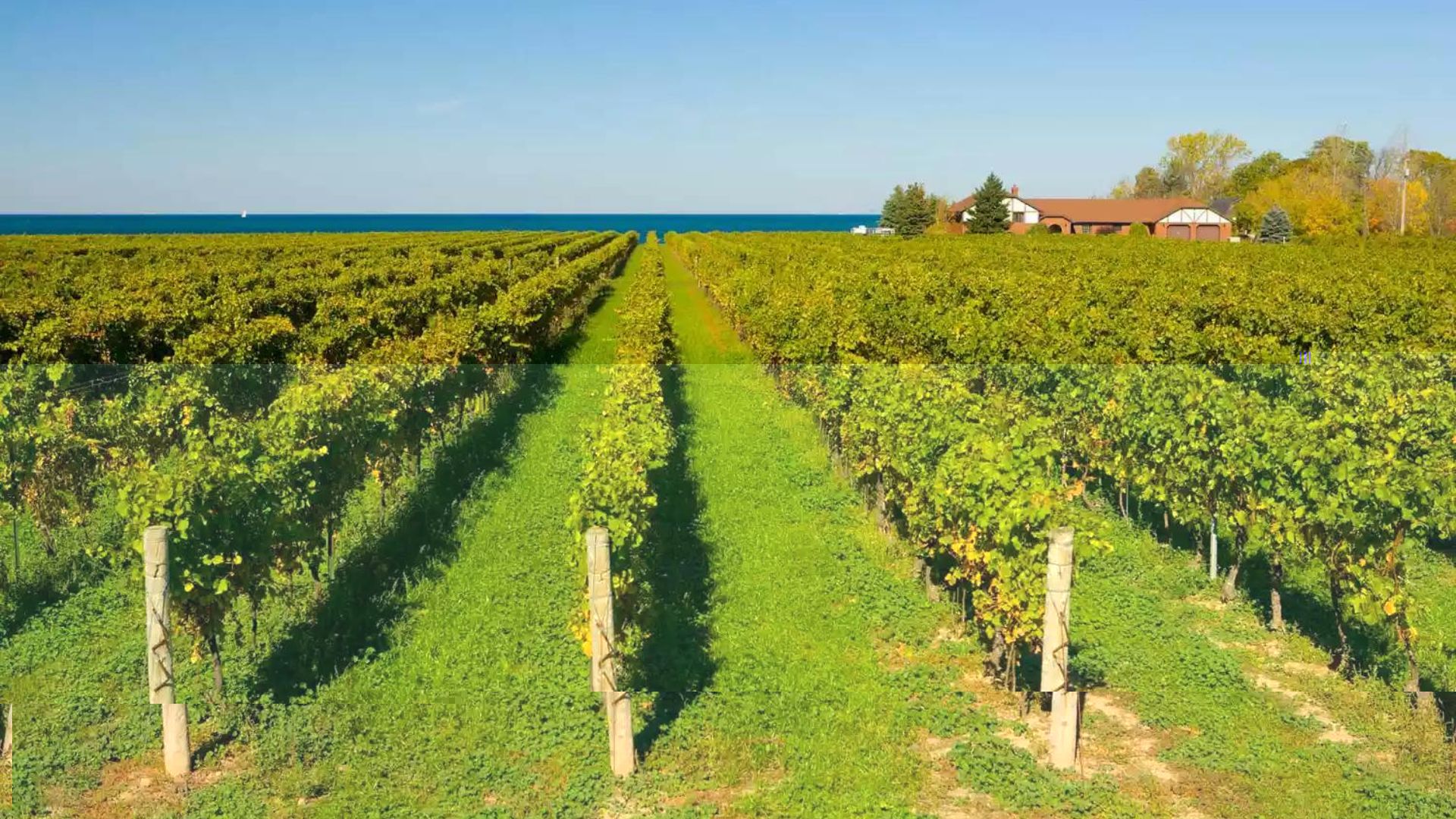 honeymoon destinations