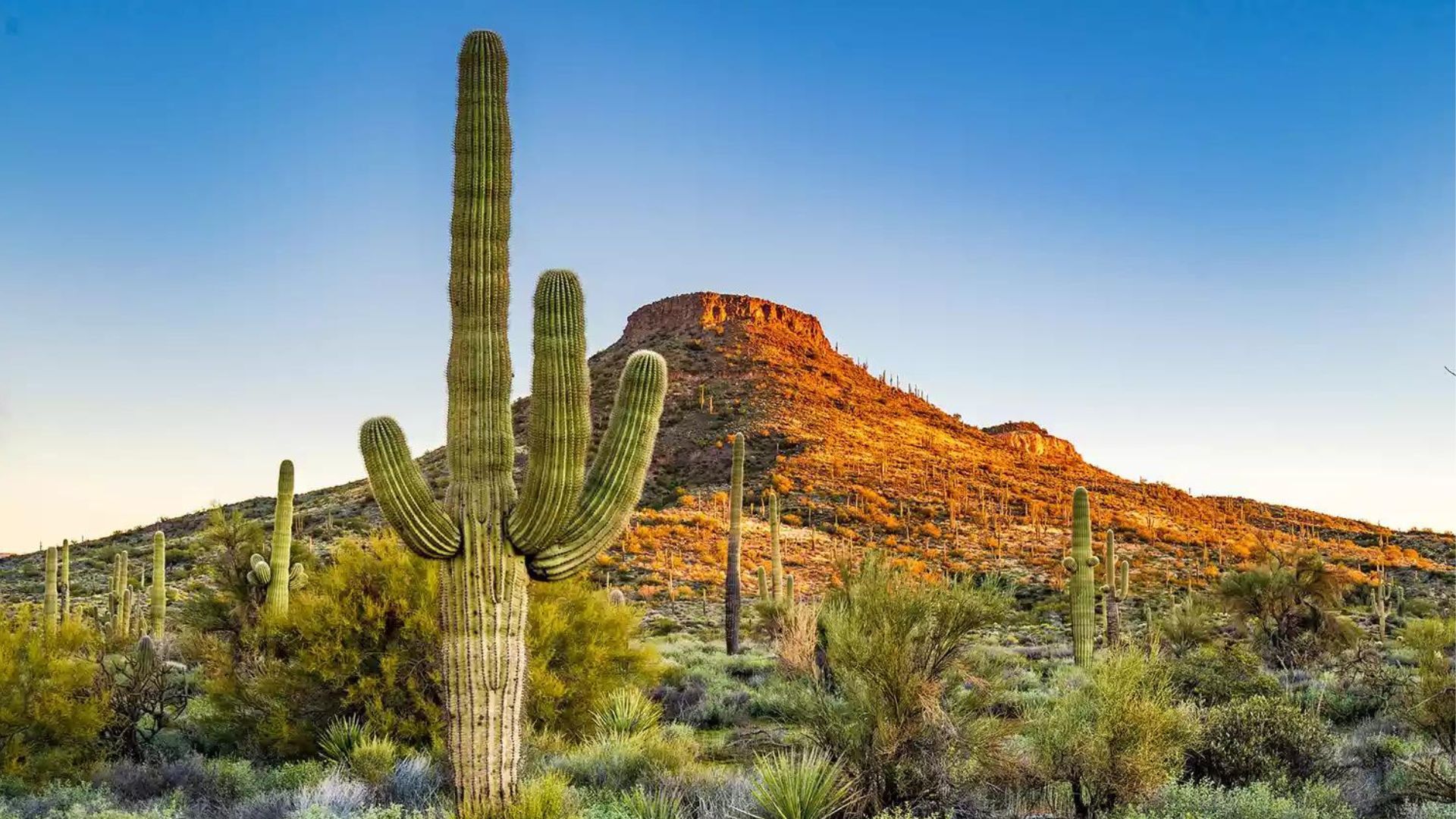 Best Places To Travel In November