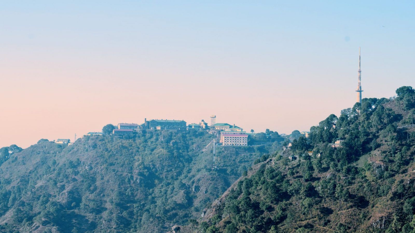 Bookafly | Activity | Kasauli Hill station a Timber forest…