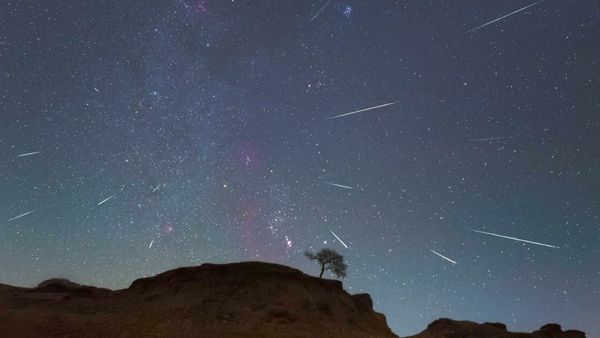 This Meteor Shower Lights Up The Sky Every 75 Years Thanks To Halley’s Comet — And You’ll Be Able To See It Tonight