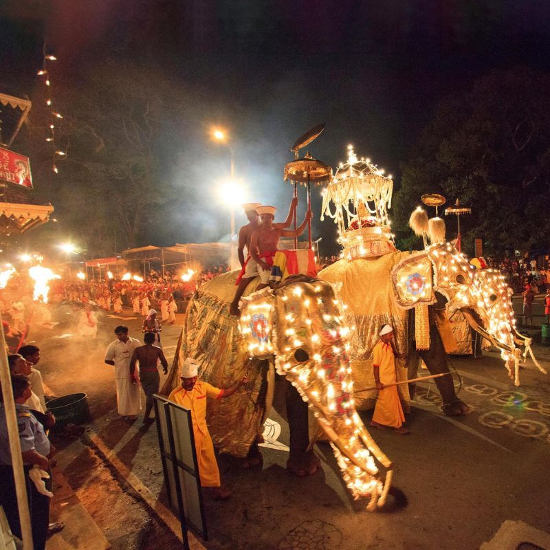 Have You Heard Of Kandy Esala Perahera, Sri Lanka's Festival Of The Tooth?