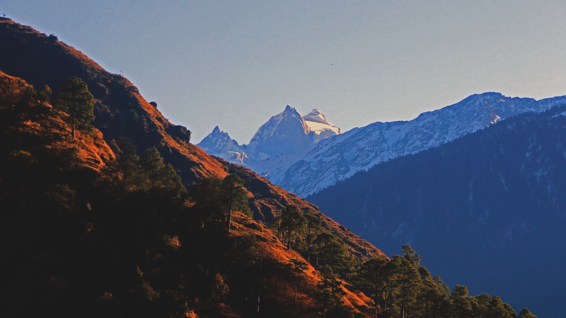 No Network Destination In India