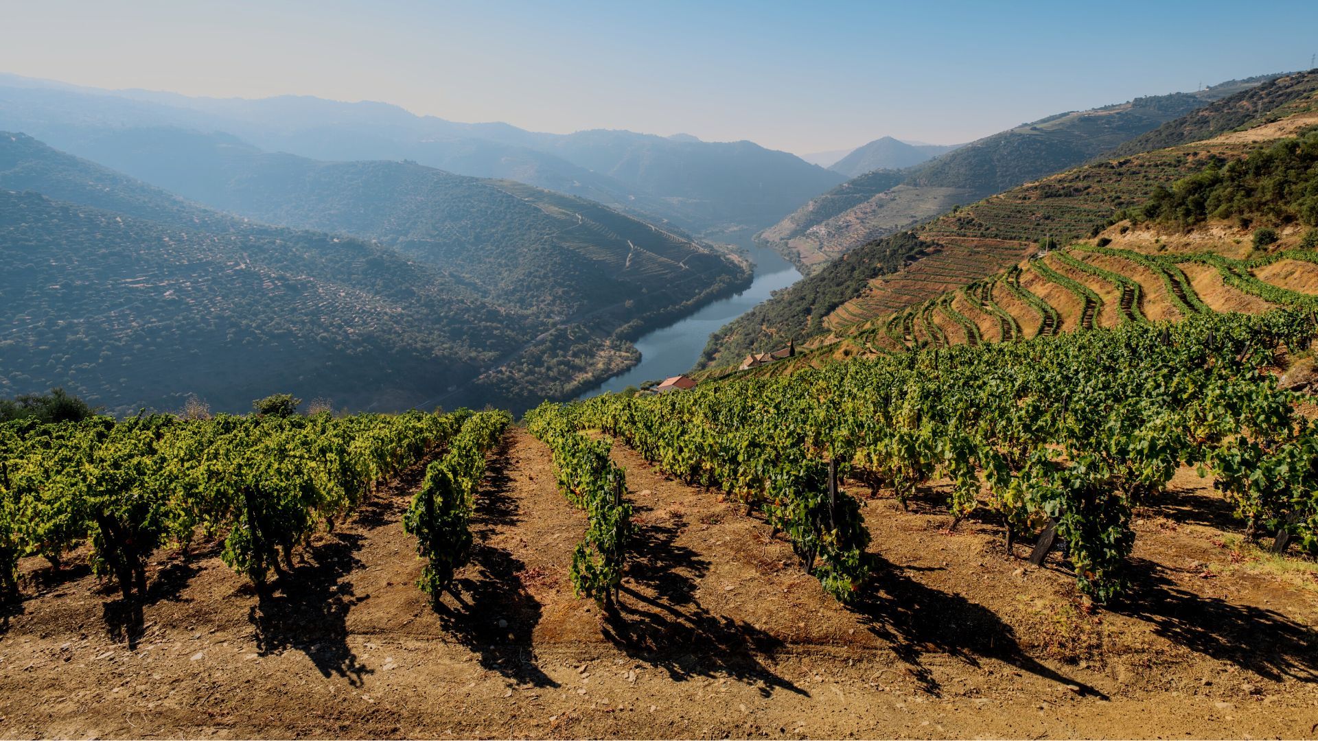 Things To Do In Portugal