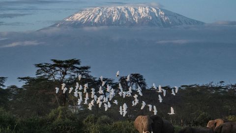 Yellowstone, Kilimanjaro Glaciers Among Those Set To Vanish By 2050: UNESCO