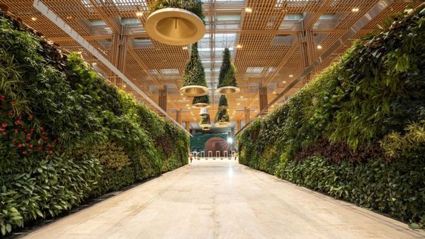 In Pics: Bengaluru Airport To Welcome Terminal 2 Today With A ‘Terminal In A Garden’ Concept