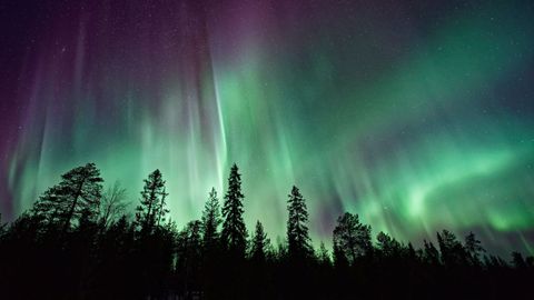 Why Next 2-3 Years Is The Best Time To View The Northern Lights