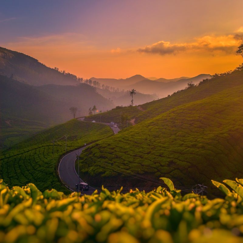 By Air, By Road, By Train: A Thorough Travel Guide To The Rich Diversity Of Munnar