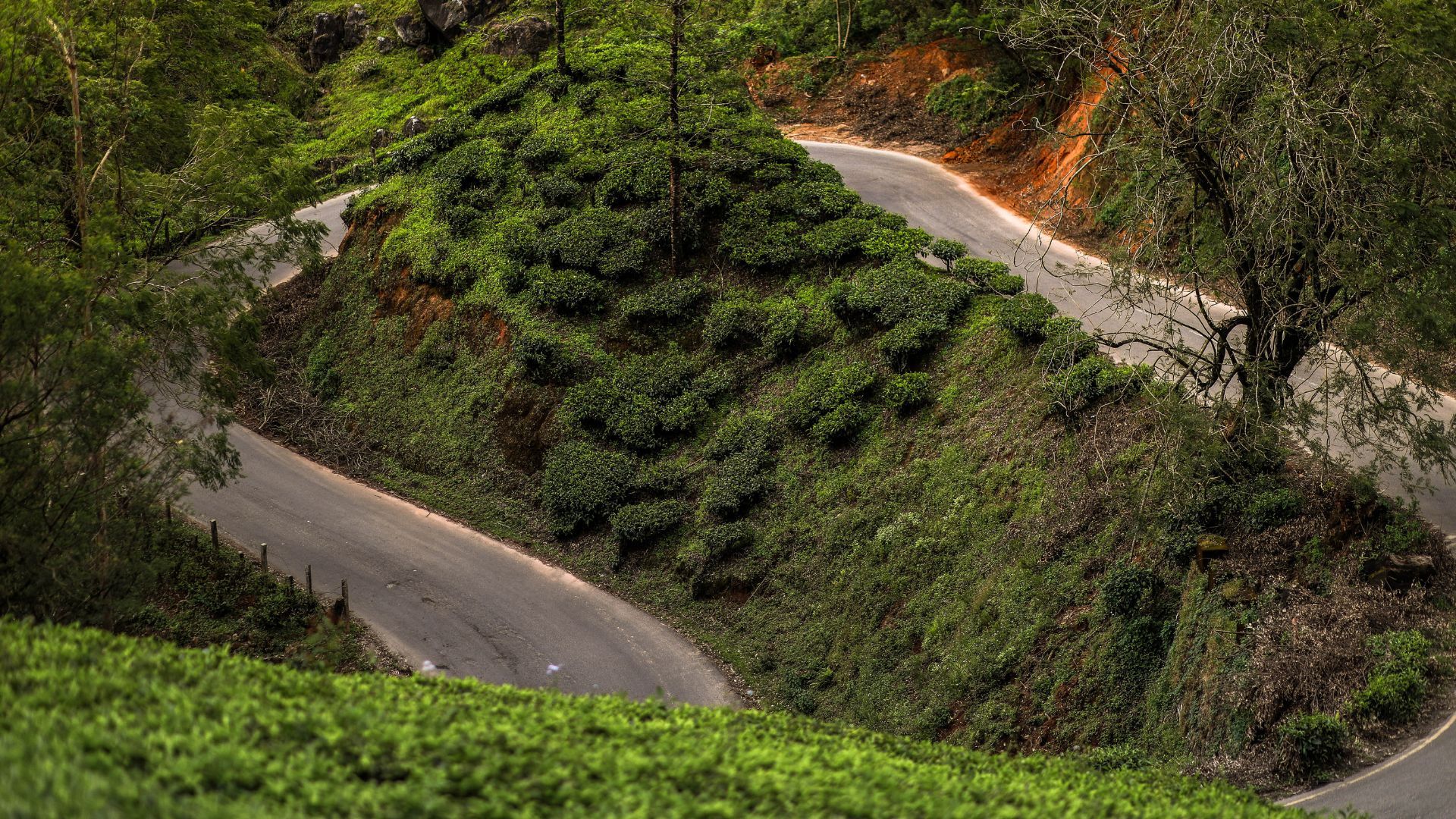 Roads of Munnar