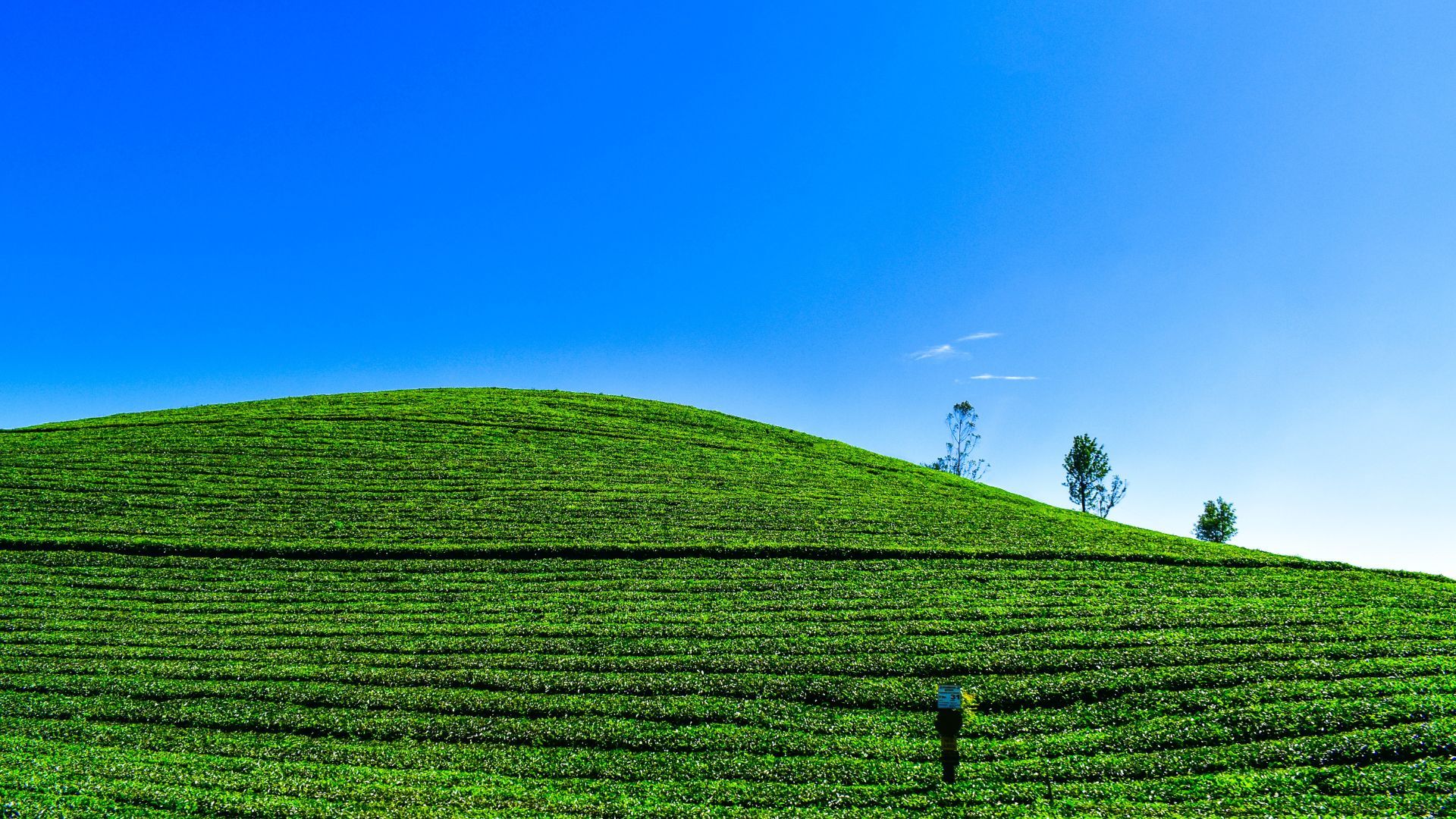 Munnar