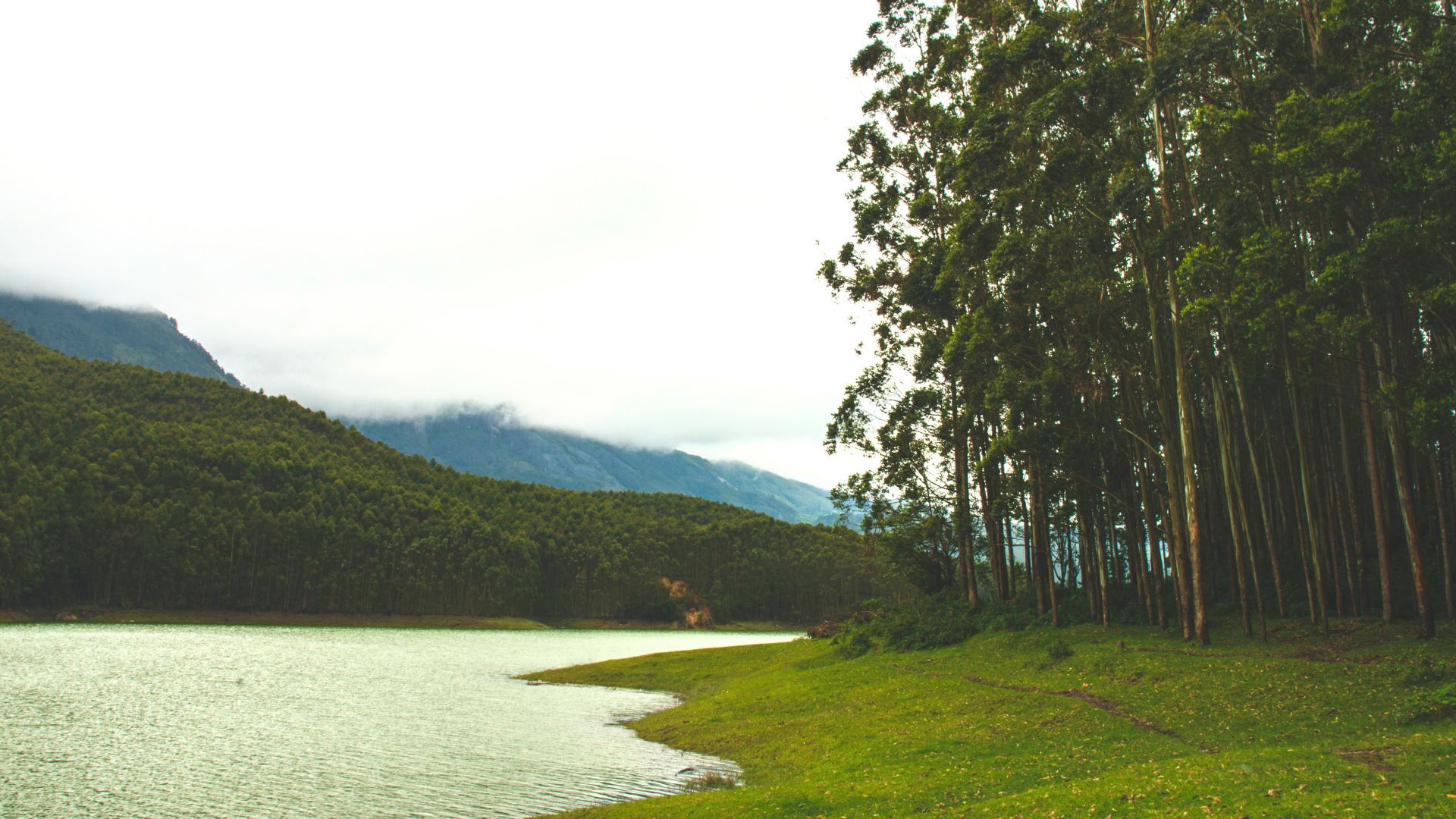 Lake In South India