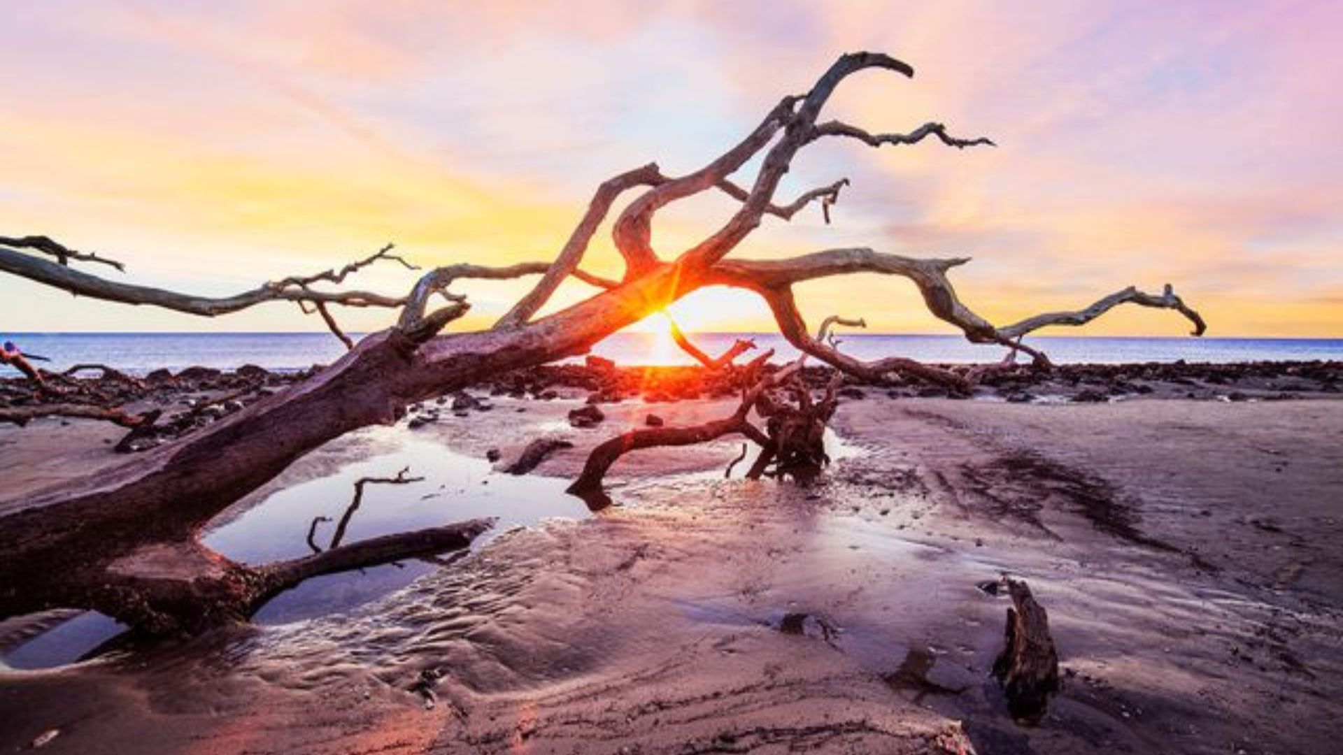 Jekyll Island