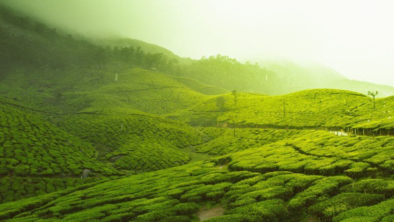 Ooty, Tamil Nadu - Best Place for Family Vacation