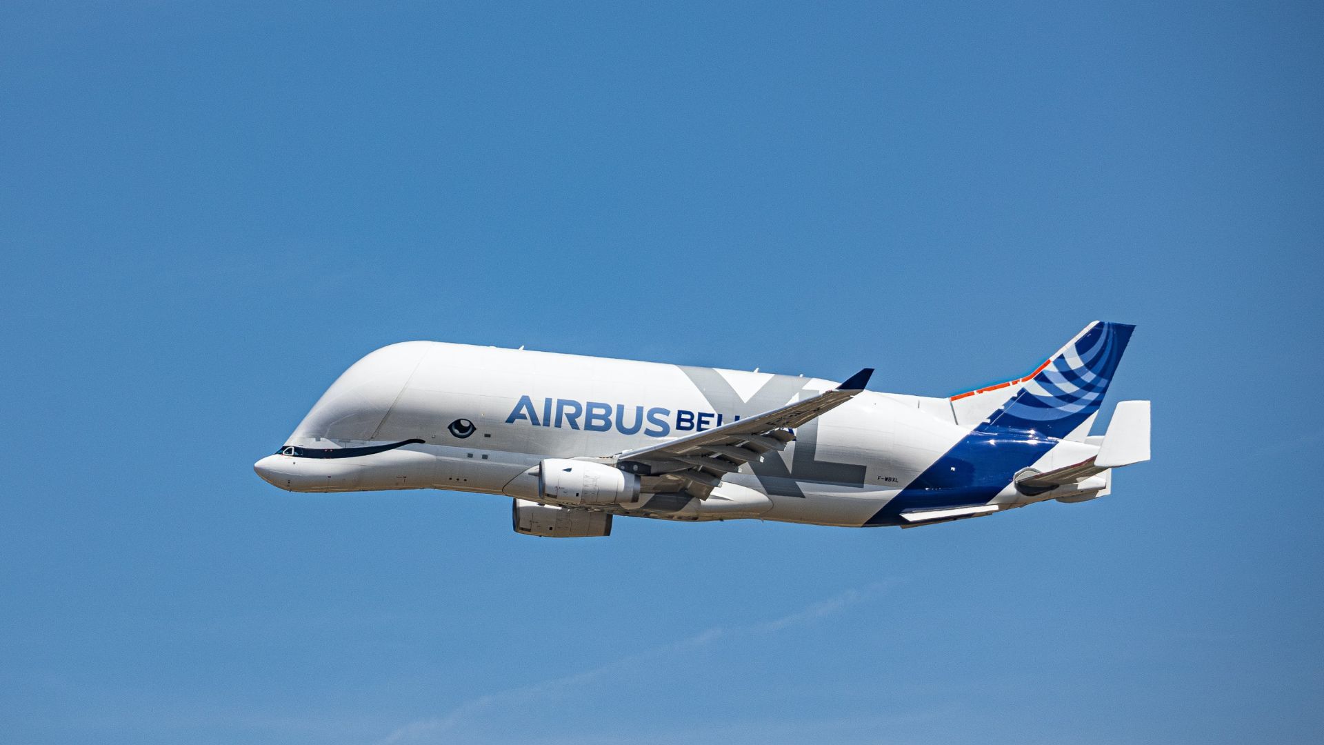 Airbus-Beluga.jpg
