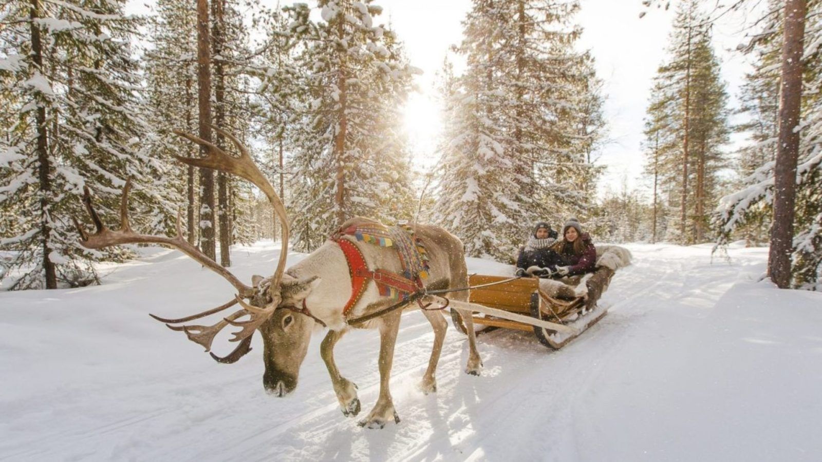 Everything to know about Santa Claus Village in Rovaniemi Finland