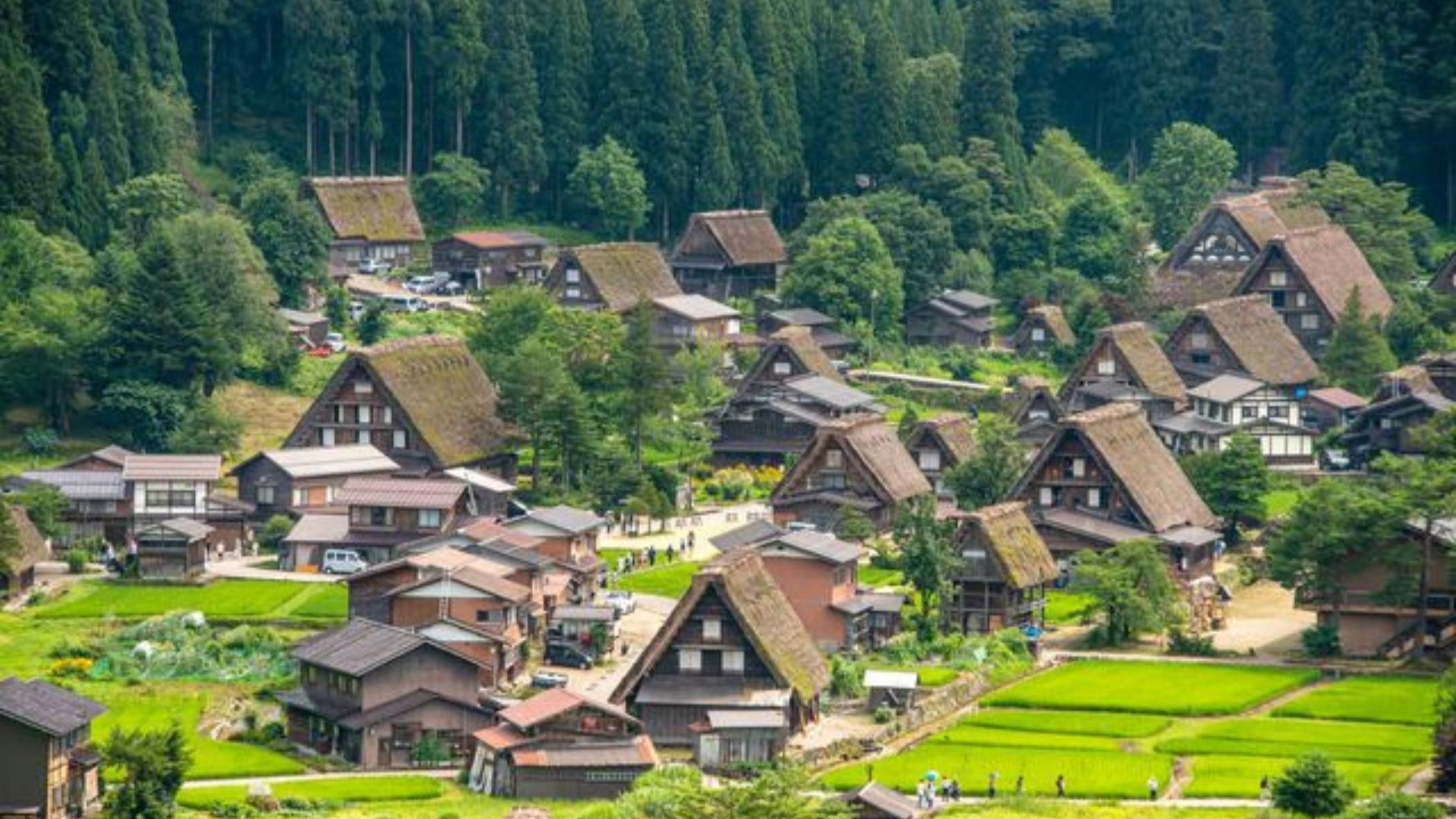 Shirakawago