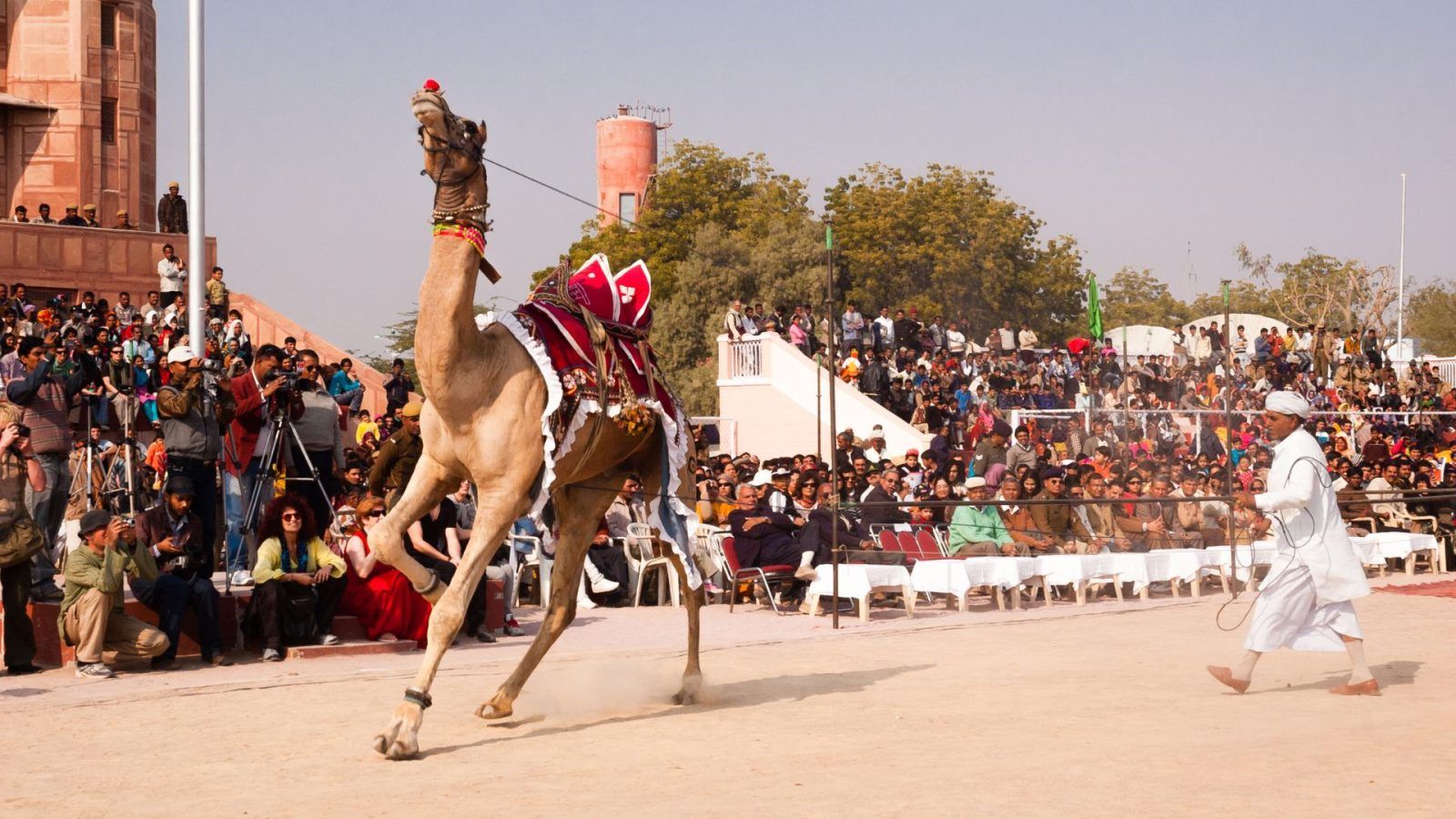 Bikaner Camel Festival To Be Back In January 2023. Here Are The Details