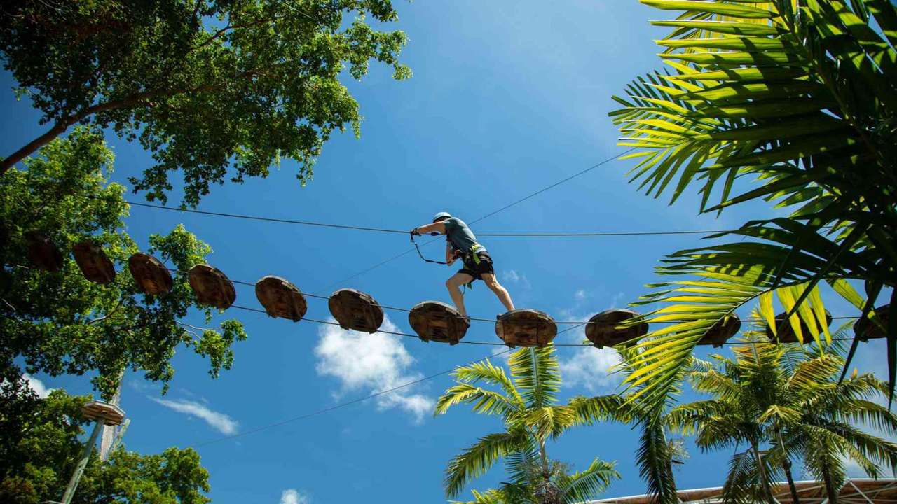 TOP 10 BEST Bungee Workout in Miami, FL - Updated 2024 - Yelp