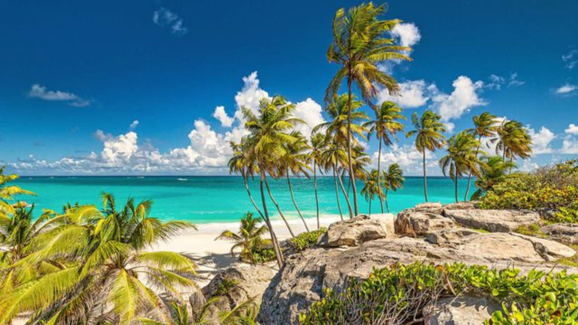 barbados
