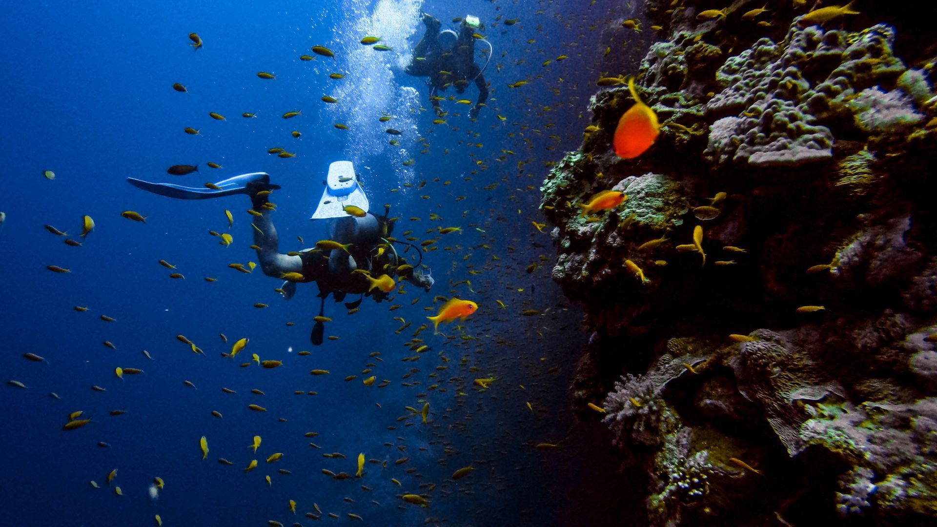 Scuba diving in India