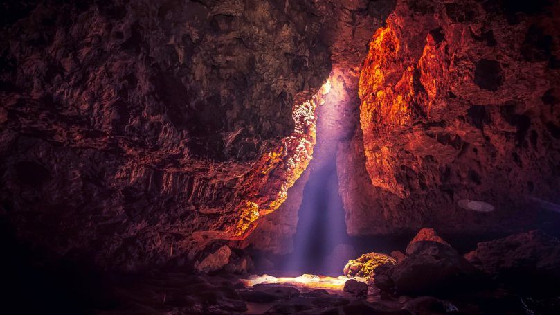Eco Cave Gardens