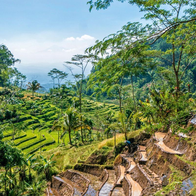 This Traveller's Homecoming To Java Island Is Your Call To Visit The Yogyakarta Region