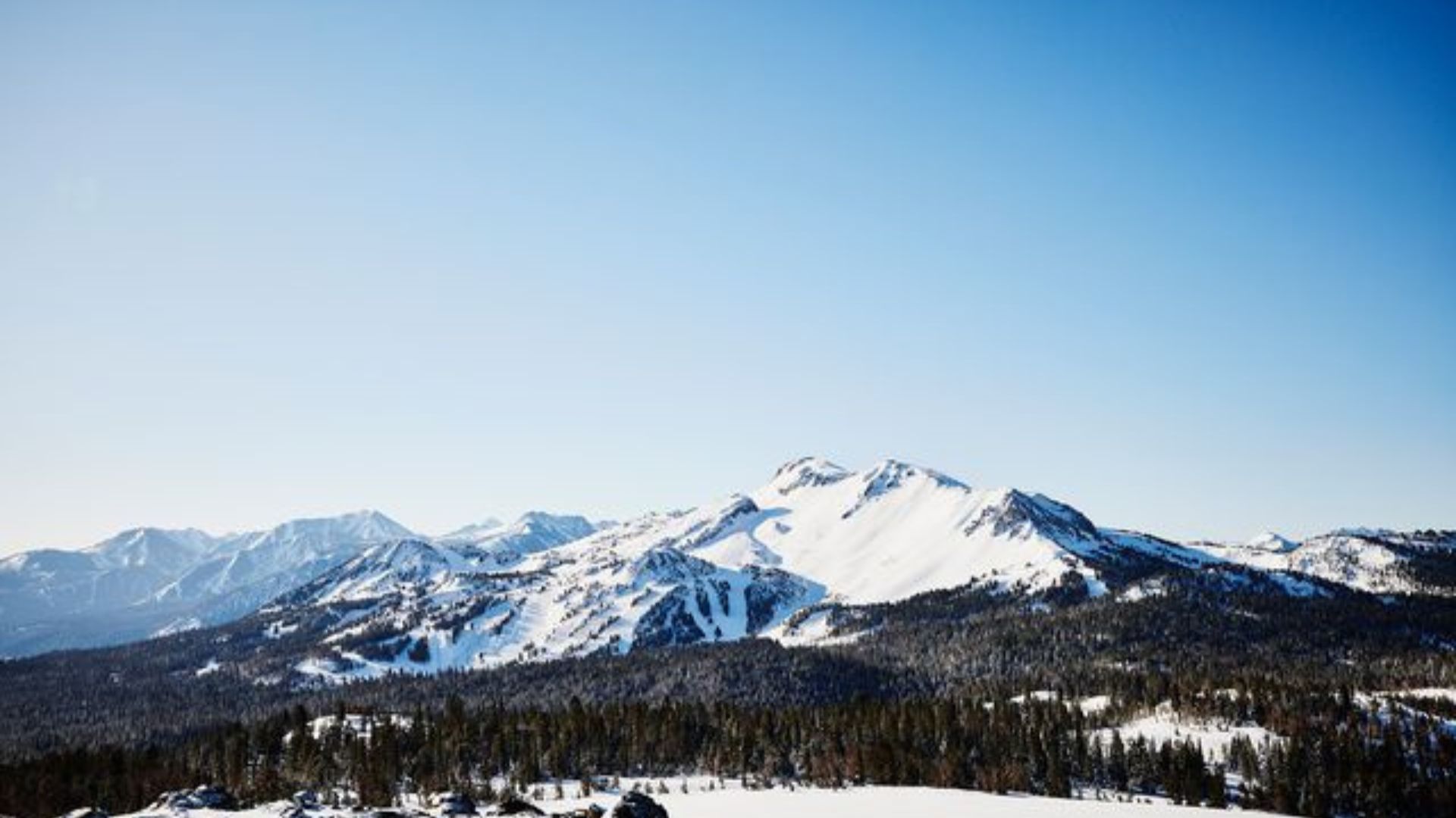 Mammoth