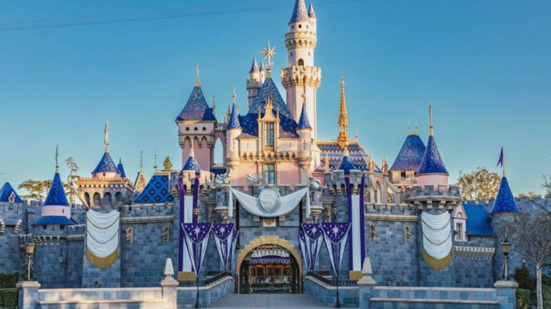 Disney castle