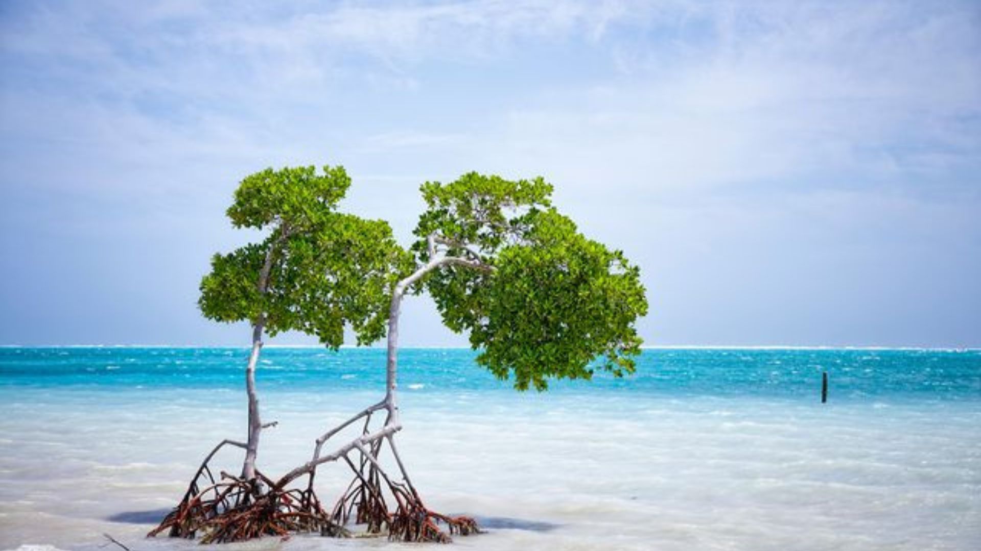 Belize
