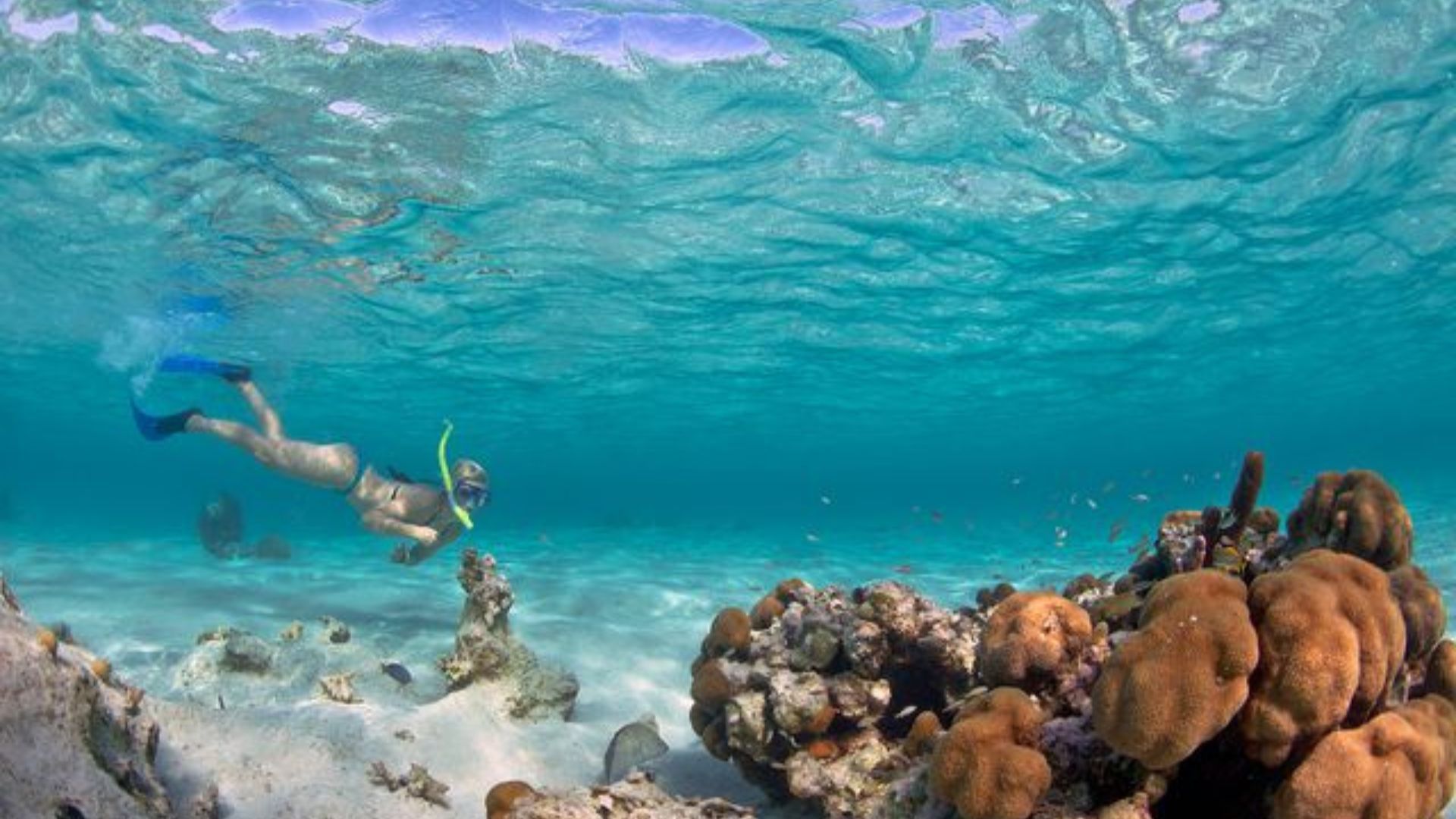 Snorkelling