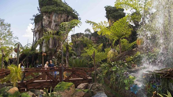 An ‘Avatar’-Inspired Experience Is Coming To Disneyland