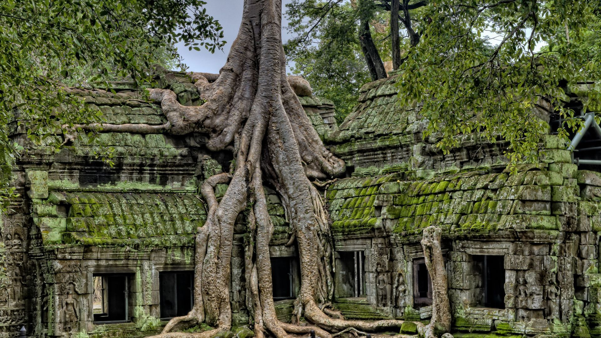 Ta Phrom Temple