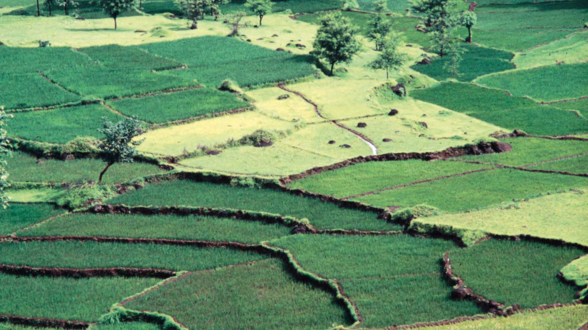 Sangameshwar