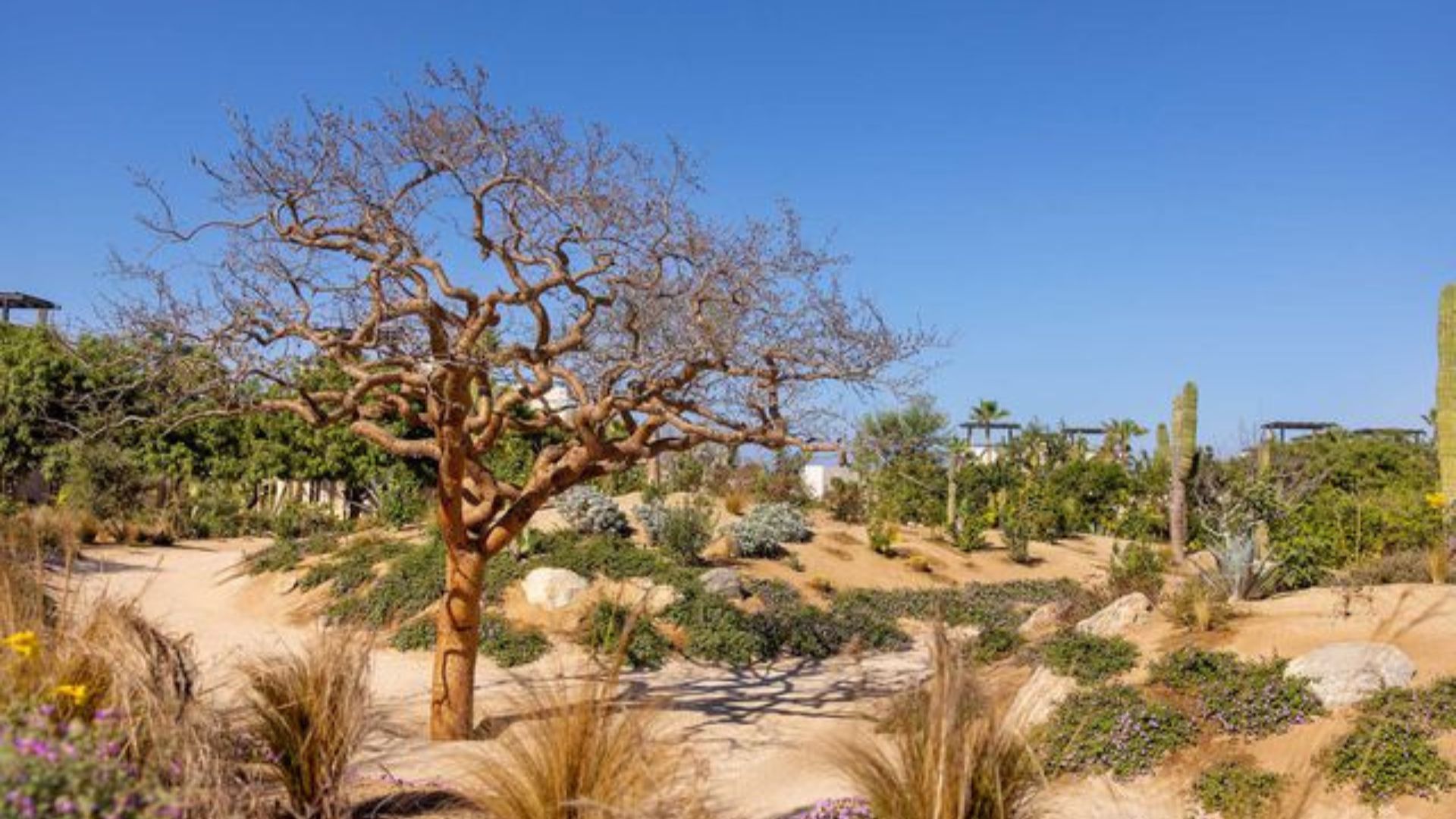 Rancho pescader