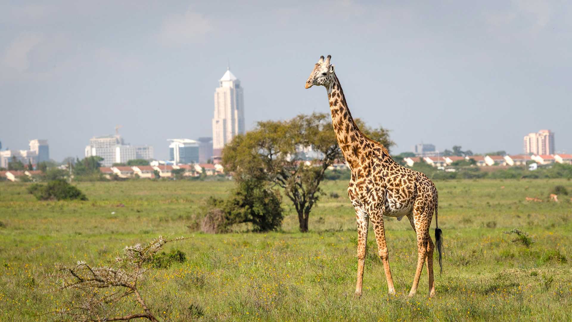 Kenya