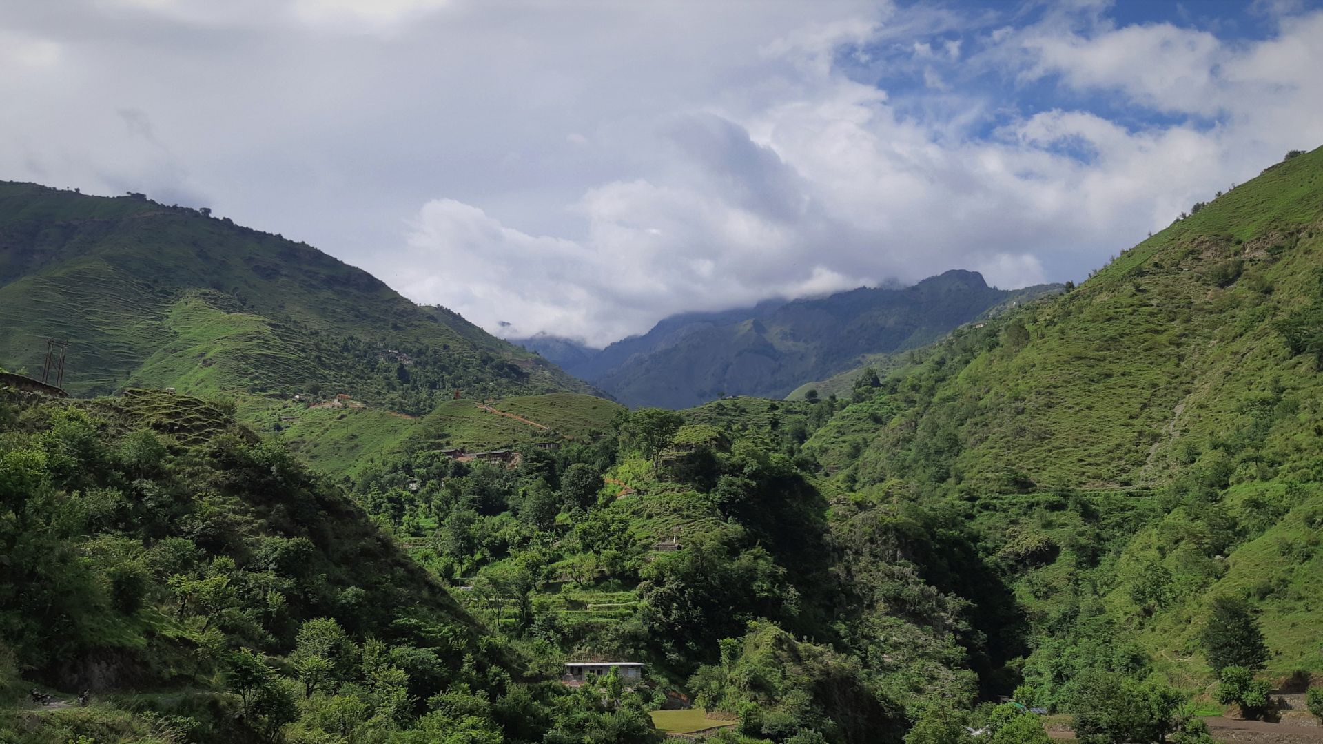 Uttarakhand jungle trails