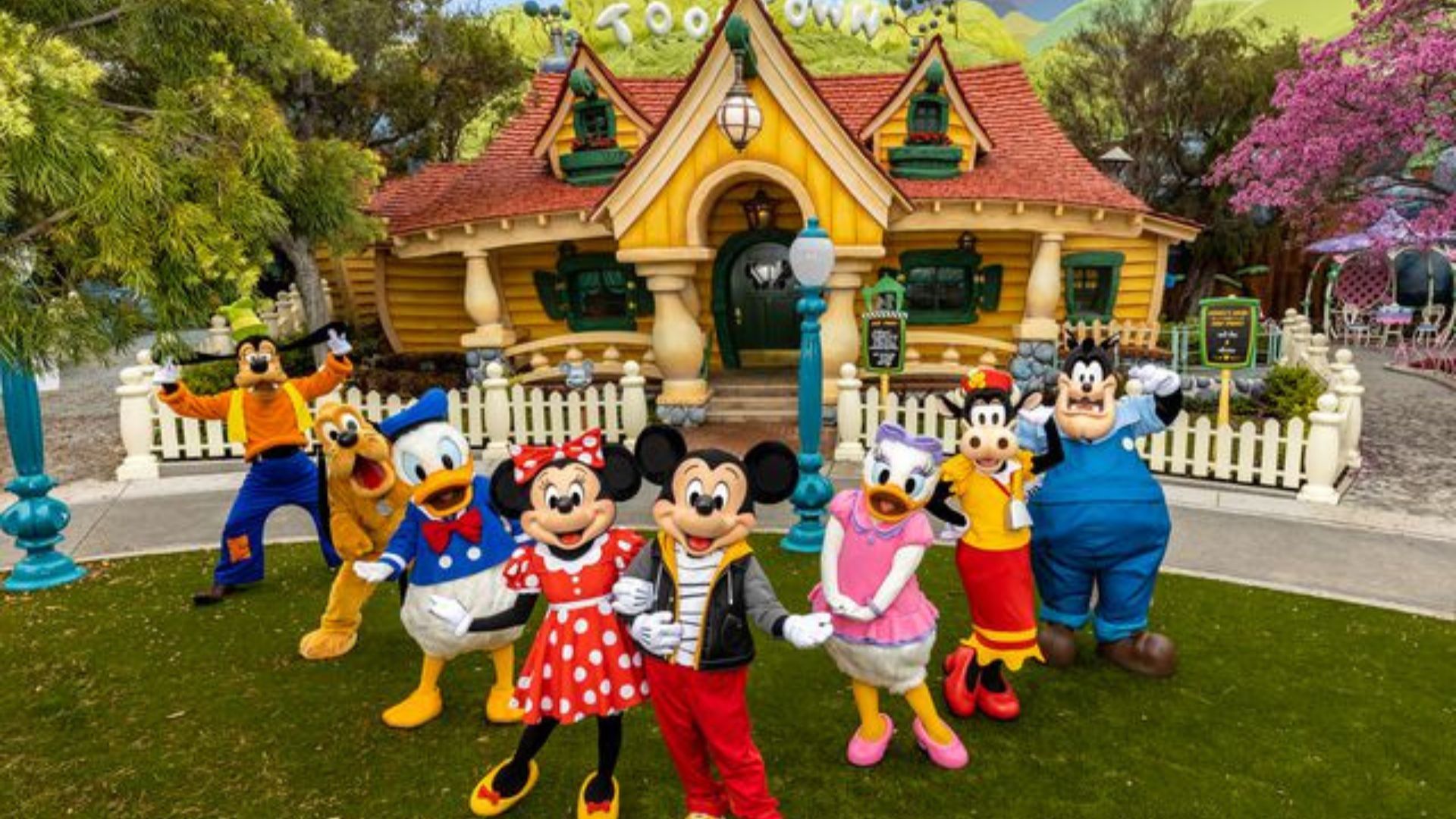 Mickey mouse