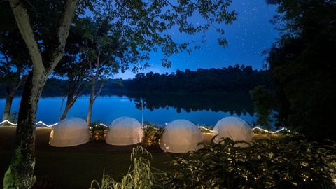 Experience A Night In The Singapore Zoo With Glamping In The Wild