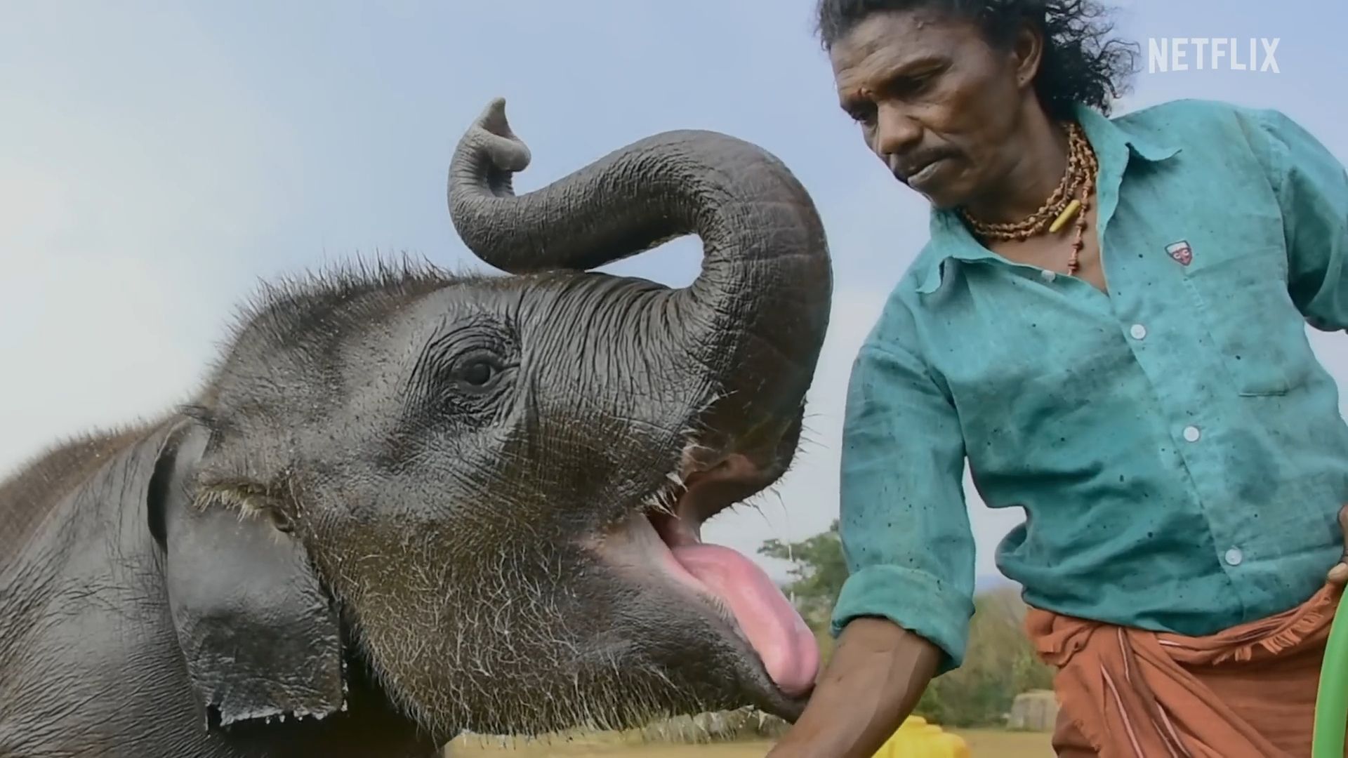 Theppakadu Elephant Camp