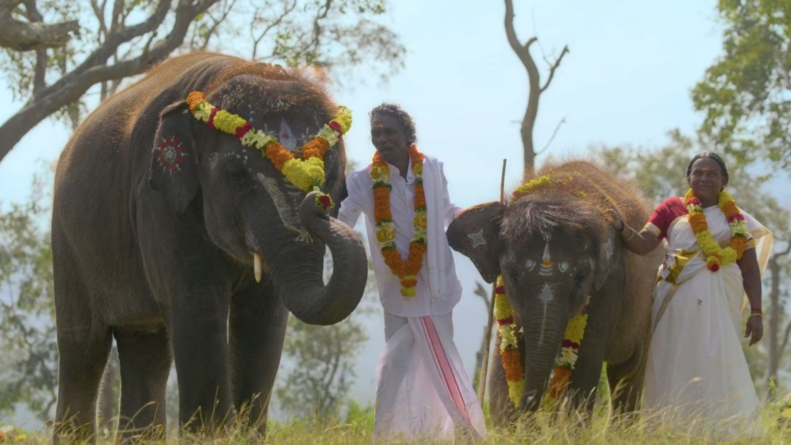Everything You Need To Know About Theppakadu Elephant Camp