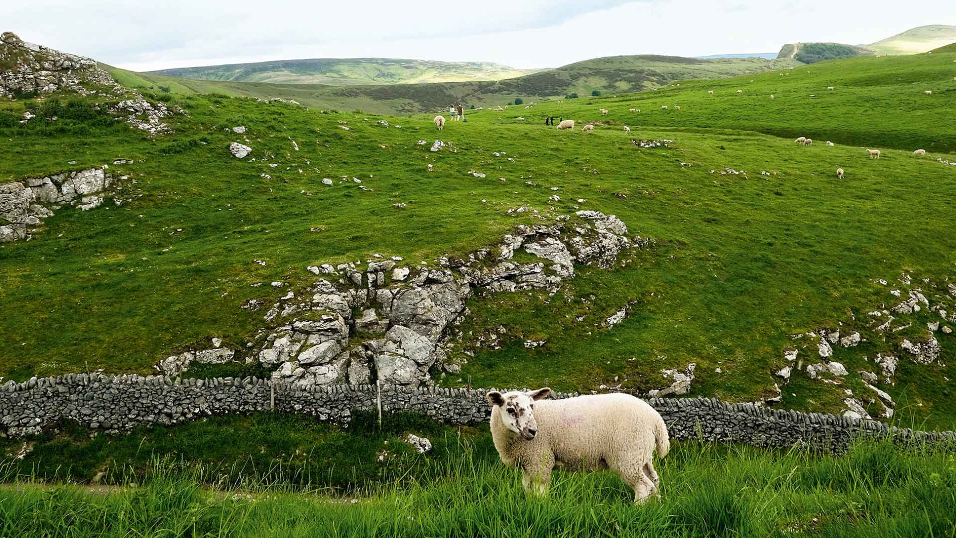 Peak District