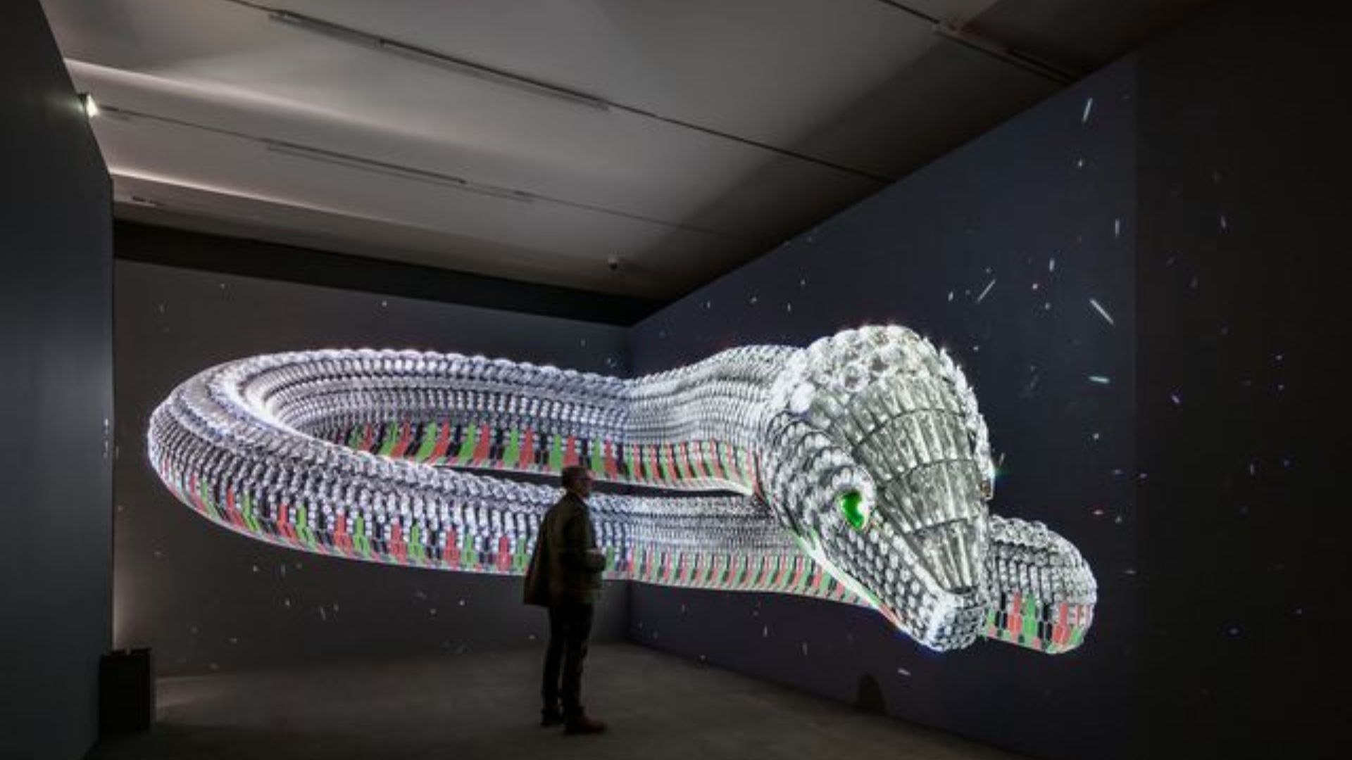 Mexico cartier exhibit