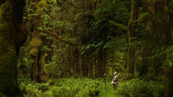 Where To Find The World’s Quietest Places, According To An Acoustic Ecologist